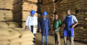 a Coffee warehouse in Uganda