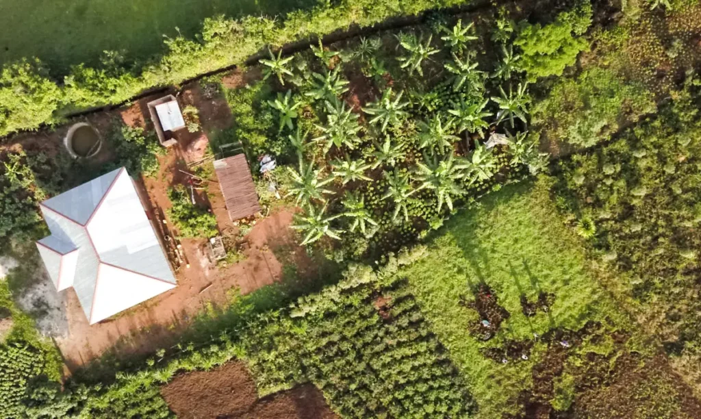 smallholders-live-directly-on-their-farms