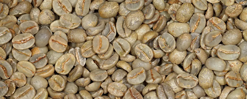 Ugandan_Arabica_Bugisu
