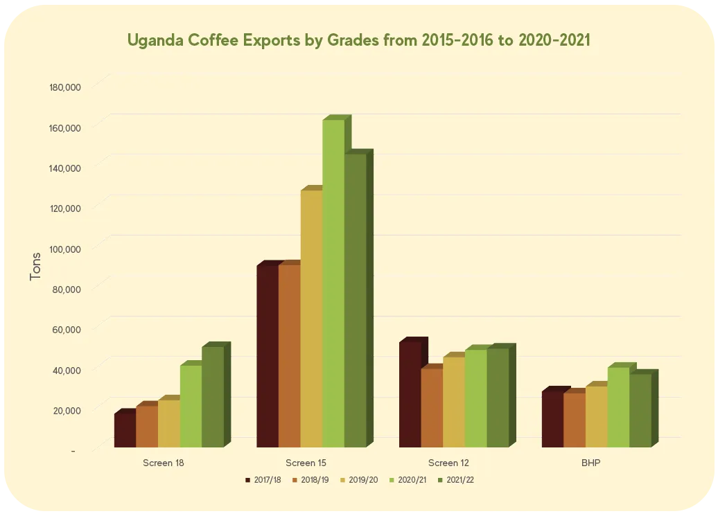 Uganda Coffee Exports by Grades from 2015-2016 to 2020-2021 Screen 18 Coffee