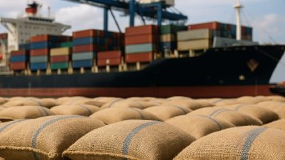 Efficient & Cost-Optimized Logistics Solutions